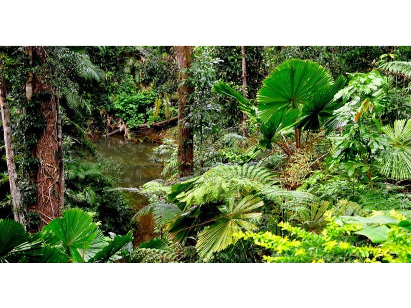 9 Butler Drive, Kuranda QLD 4881