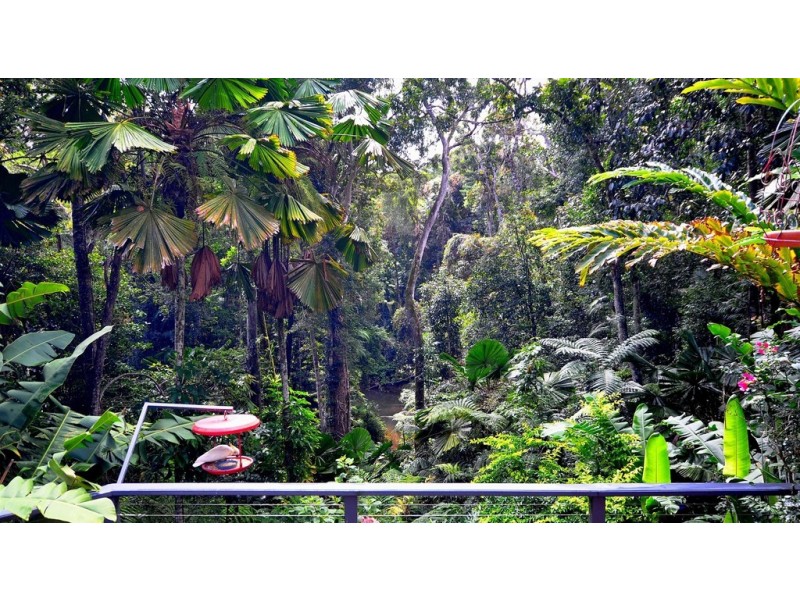 9 Butler Drive, Kuranda QLD 4881