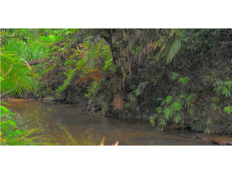 9 Butler Drive, Kuranda QLD 4881