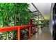 54 Barron Falls Road, Kuranda QLD 4881
