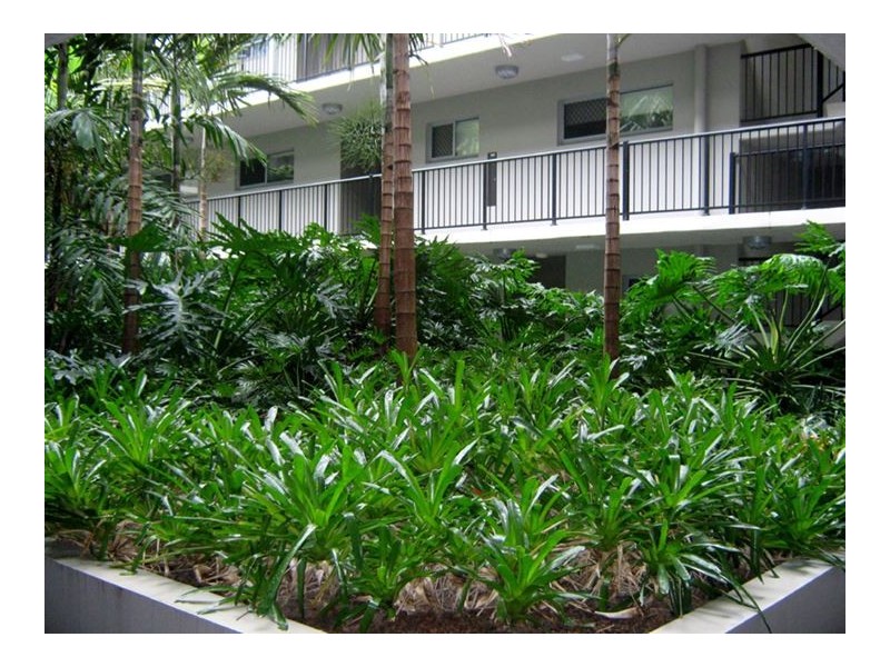 5/521-525 Varley, Yorkeys Knob QLD 4878