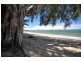1 Helix Close, Clifton Beach QLD 4879