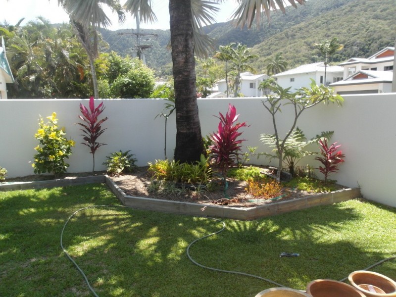57 Cedar Rd, Palm Cove QLD 4879