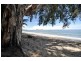 10 Barrier Close, Clifton Beach QLD 4879
