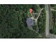 12 Fallon Road, Kuranda QLD 4881