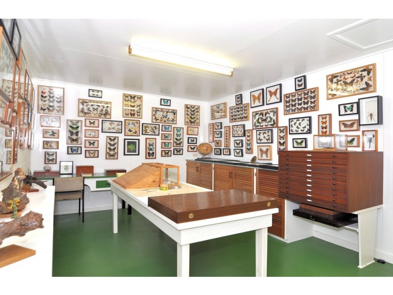 12 JARAWEE ROAD, Kuranda QLD 4881