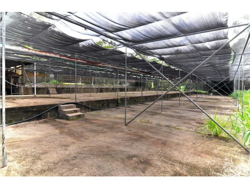 11 JARAWEE ROAD, Kuranda QLD 4881