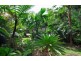 51 Masons Road, Kuranda QLD 4881