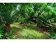 51 Masons Road, Kuranda QLD 4881
