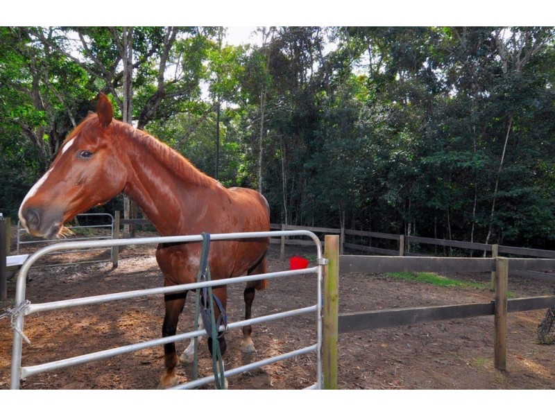 48 GANYAN DRIVE, Speewah QLD 4881