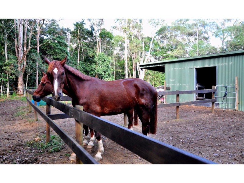 48 GANYAN DRIVE, Speewah QLD 4881