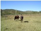 Bouldercombe QLD 4702