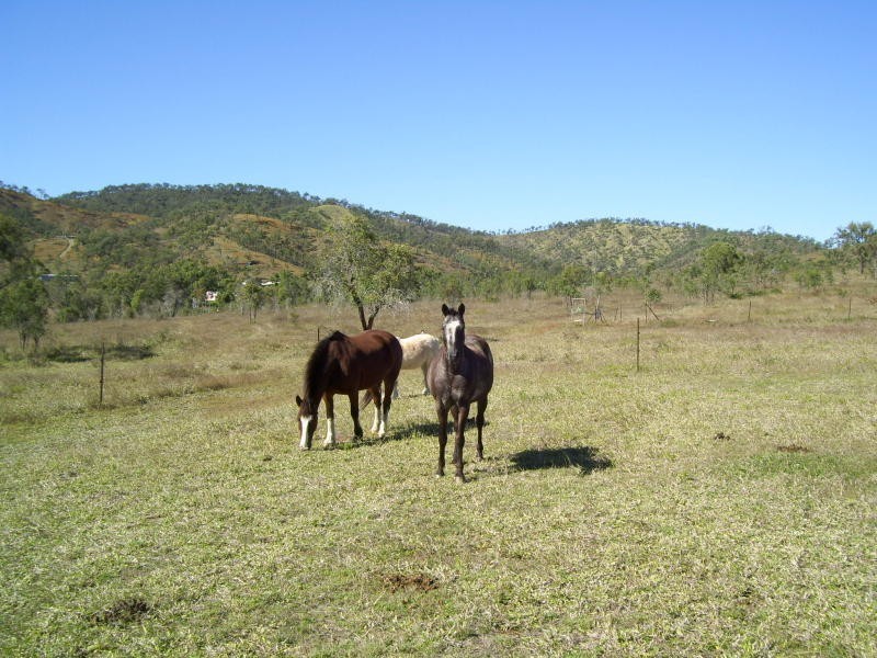 Bouldercombe QLD 4702