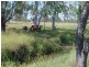 Alton Downs QLD 4702