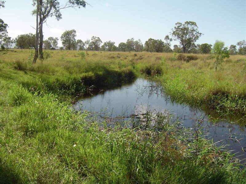 Alton Downs QLD 4702