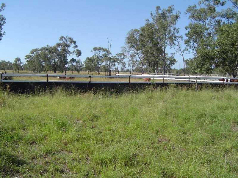 Alton Downs QLD 4702