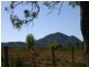 221 Tookers Road, Cawarral QLD 4702
