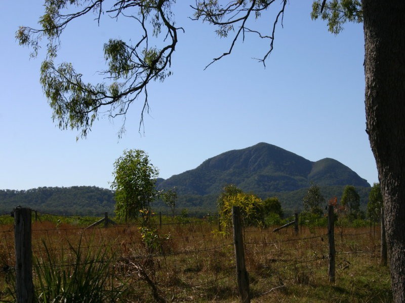 221 Tookers Road, Cawarral QLD 4702