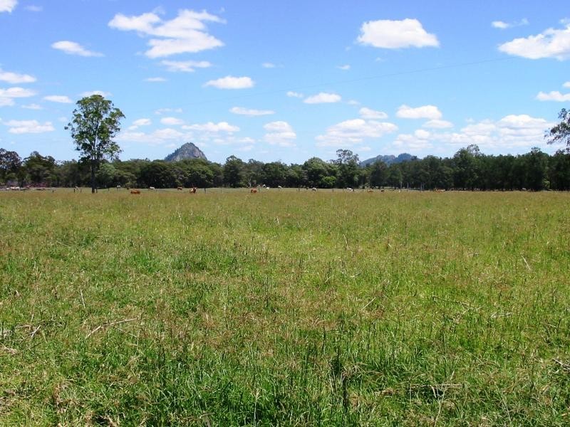 221 Tookers Road, Cawarral QLD 4702
