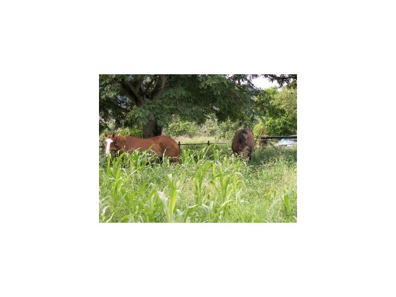 Bouldercombe QLD 4702