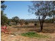 50562 Burnett Highway, Mount Morgan QLD 4714
