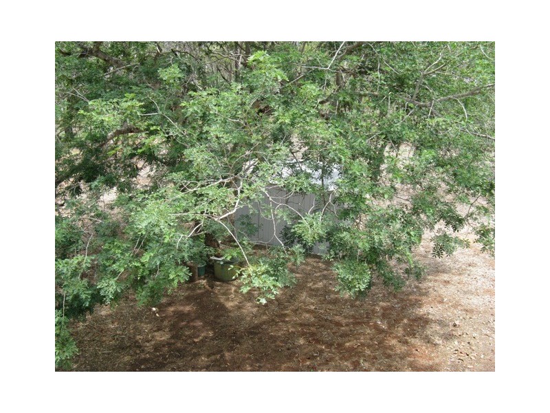 14 Mary, Duaringa QLD 4712