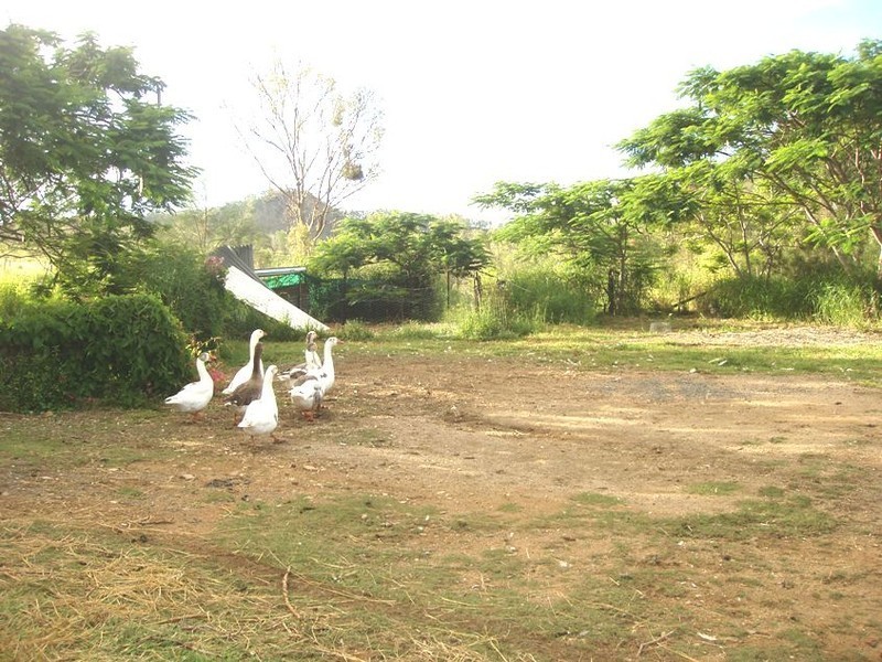 1873 Razorback Rd, Mount Morgan QLD 4714