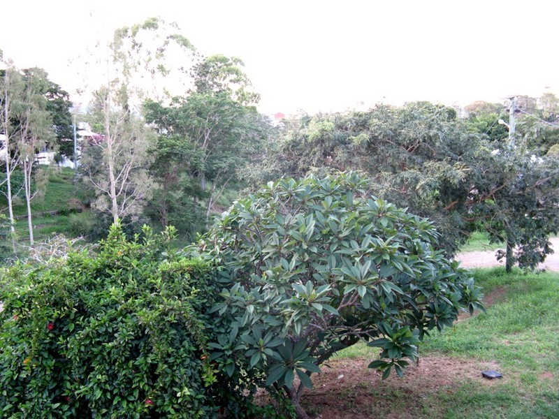 30 Jeannie St, Mount Morgan QLD 4714