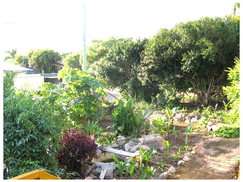 29 Coates St, Mount Morgan QLD 4714