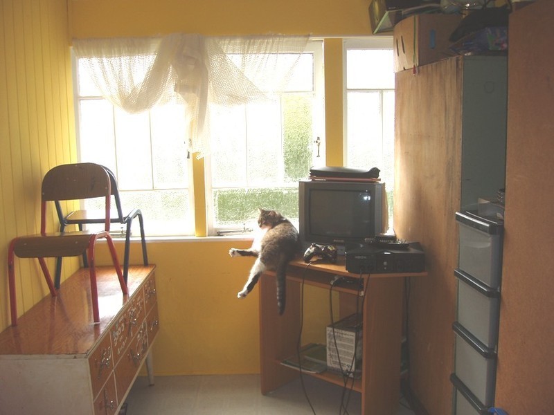 3 Gowdie St, Mount Morgan QLD 4714