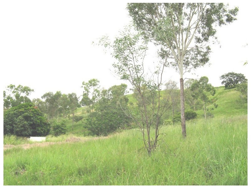 49 Tipperary Rd, Mount Morgan QLD 4714