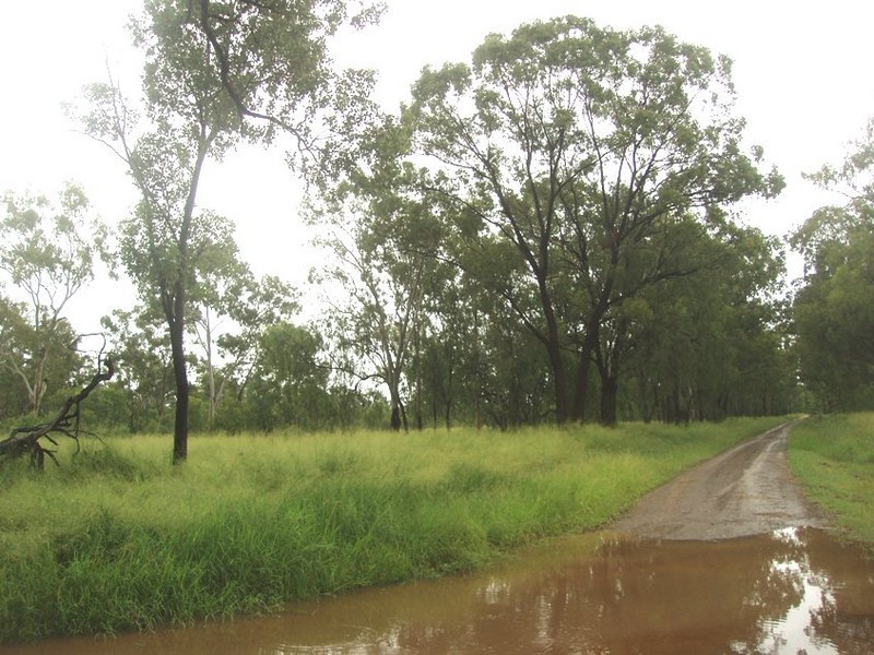 Lot 193  Greendale Rd, Wowan QLD 4702