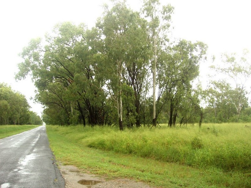 Lot 193  Greendale Rd, Wowan QLD 4702