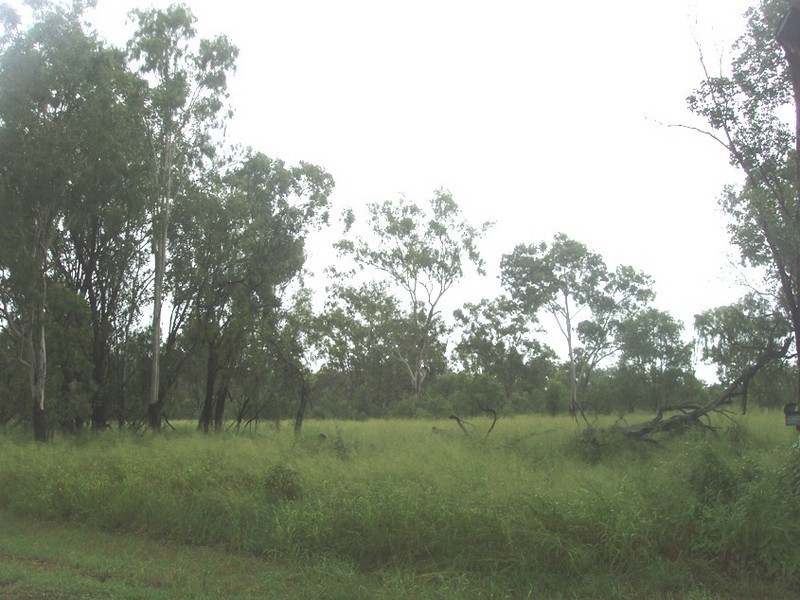 Lot 193  Greendale Rd, Wowan QLD 4702