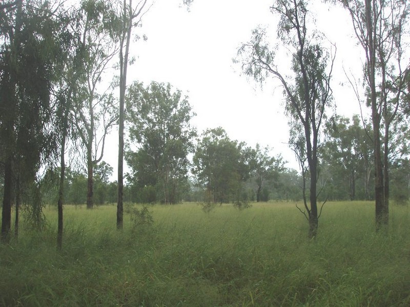 Lot 193  Greendale Rd, Wowan QLD 4702