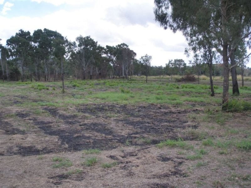 Lot 201 Wiseman Street, Kabra QLD 4702