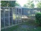61 Scott Road, Alton Downs QLD 4702