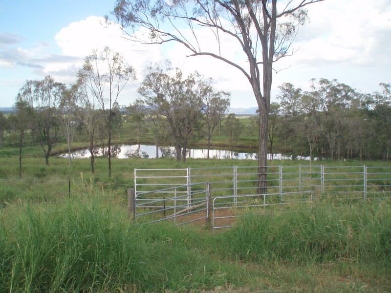 101 Bond Road, Alton Downs QLD 4702