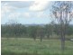 101 Bond Road, Alton Downs QLD 4702