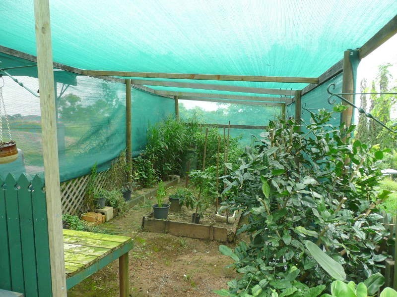 30 West Street, Mount Morgan QLD 4714
