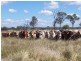 Fairy Bower QLD 4700
