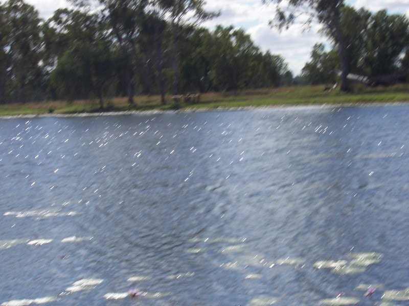 Fairy Bower QLD 4700
