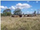 Fairy Bower QLD 4700