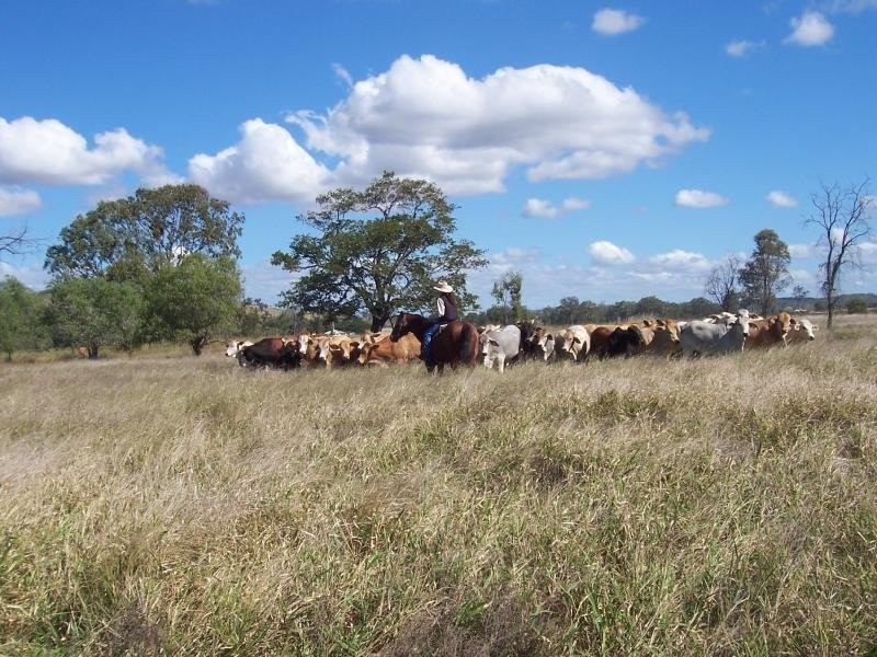 Fairy Bower QLD 4700