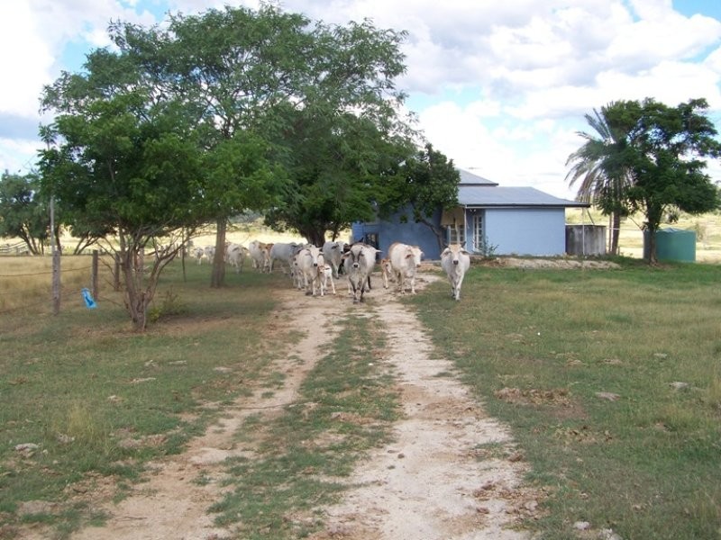 Bajool QLD 4699