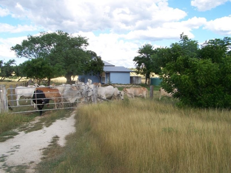 Bajool QLD 4699