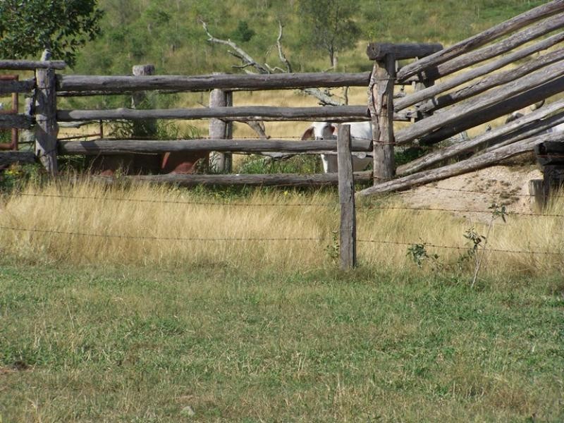 Bajool QLD 4699