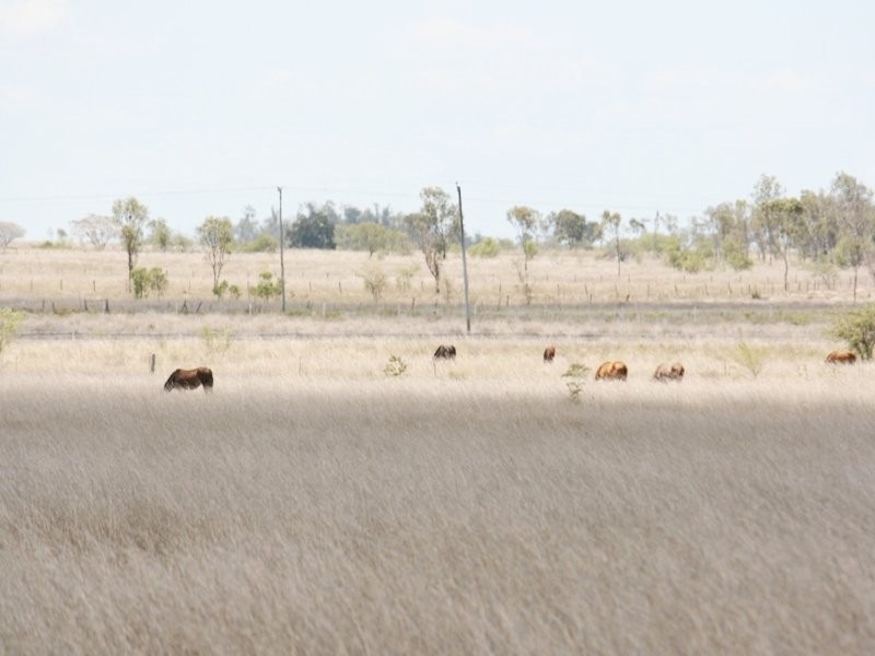Alton Downs QLD 4702