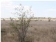 Alton Downs QLD 4702