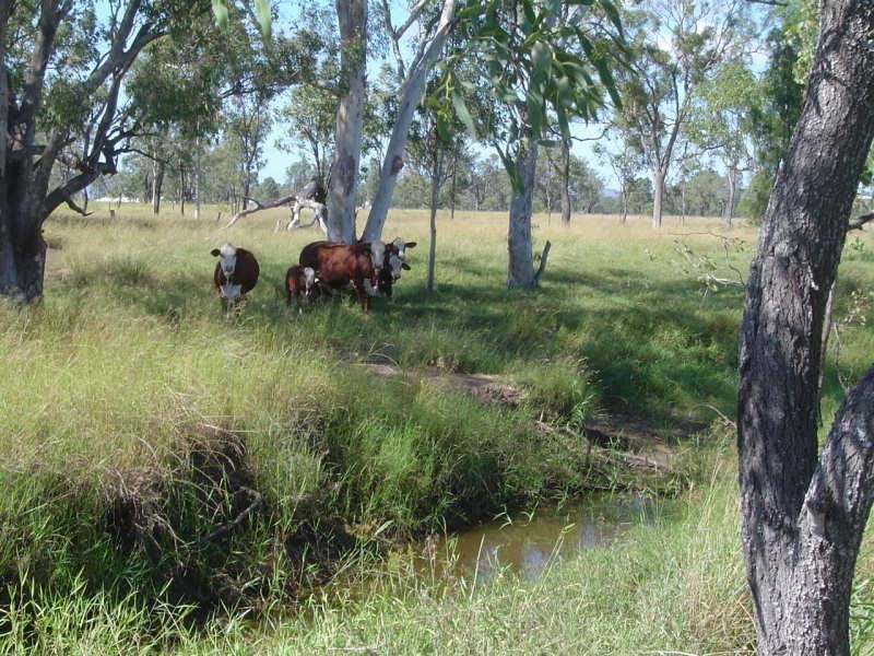 Alton Downs QLD 4702